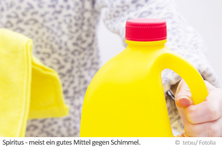 Spritus gegen Schimmel Spritus gegen Schimmel