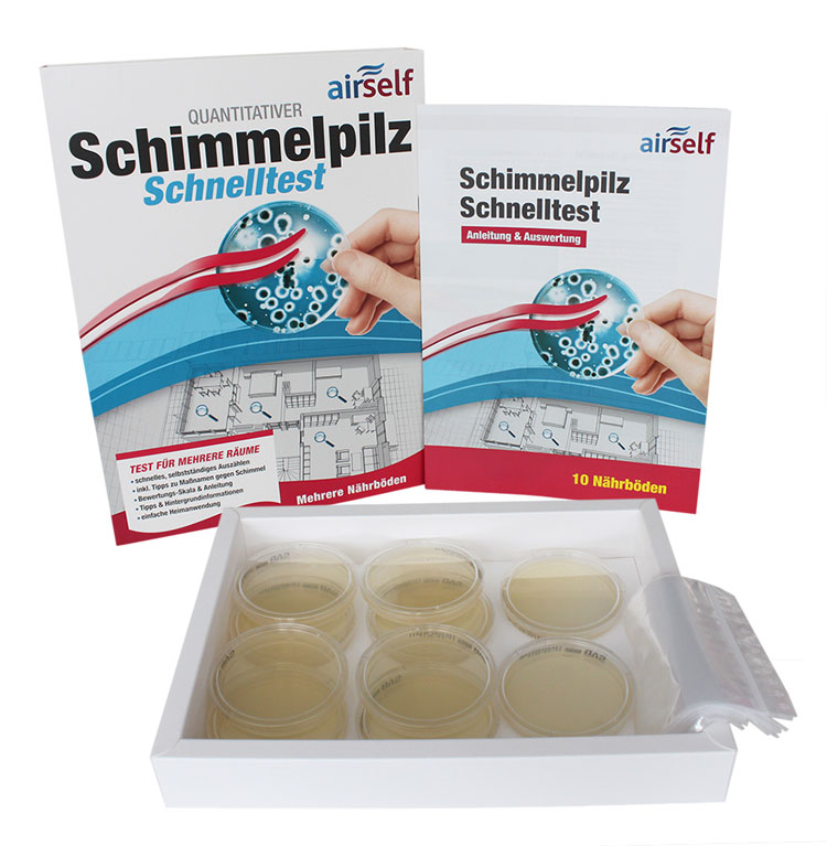 Schimmelpilz-Test