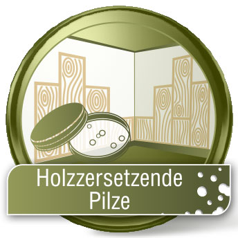 Holzzersetzende Pilze Analyse 