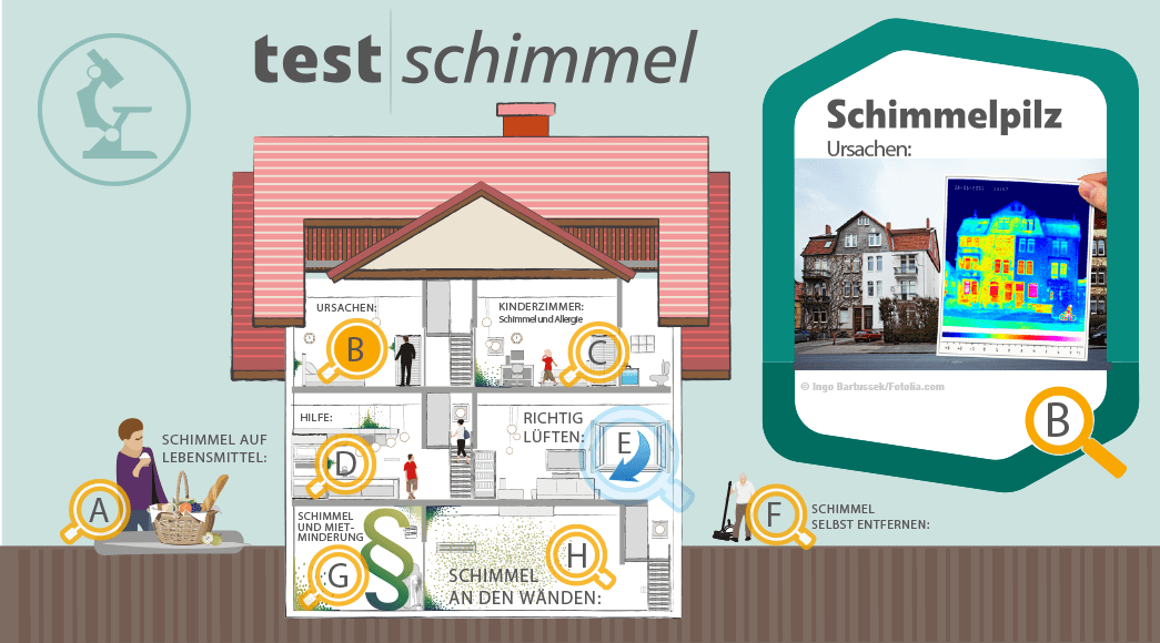Schimmelpilz Ursachen Schimmelpilz Ursachen