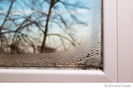Schimmel am Fenster Schimmel am Fenster