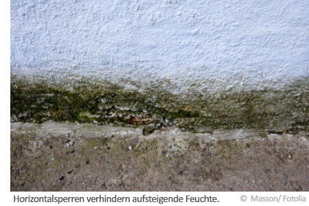 Nasse Wände Nasse Wände