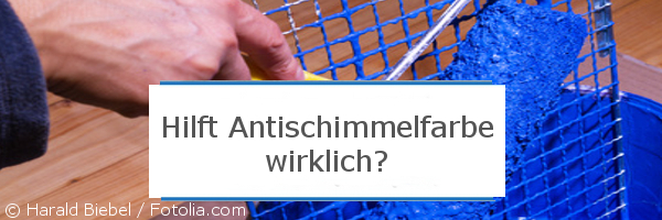 Antischimmelfarbe Antischimmelfarbe