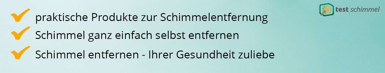 Schimmelentfernung Schimmelentfernung