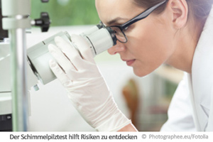 Schimmelpilz Test Infos Schimmelpilz Test Infos