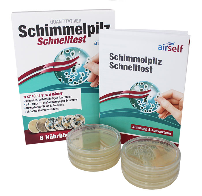 airself Schimmelpilz Schnelltest für 6 Räume