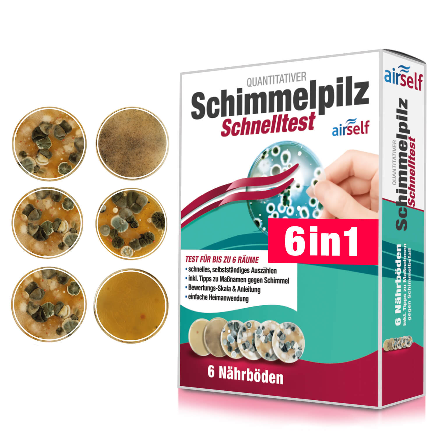 airself Schimmelpilz Schnelltest für 6 Räume