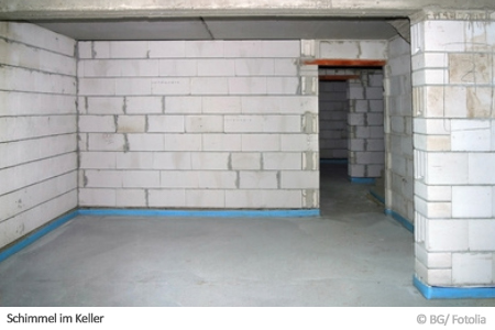 Schimmel im Keller Schimmel im Keller