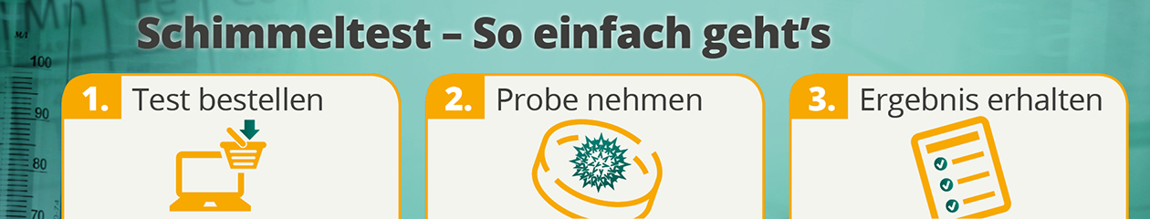 So einfach geht der Schimmelpilz Test So einfach geht der Schimmelpilz Test
