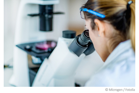 Schimmel Labor Schimmel Labor