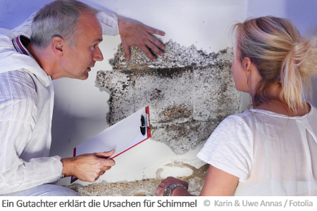 Schimmel Gutachter Schimmel Gutachter