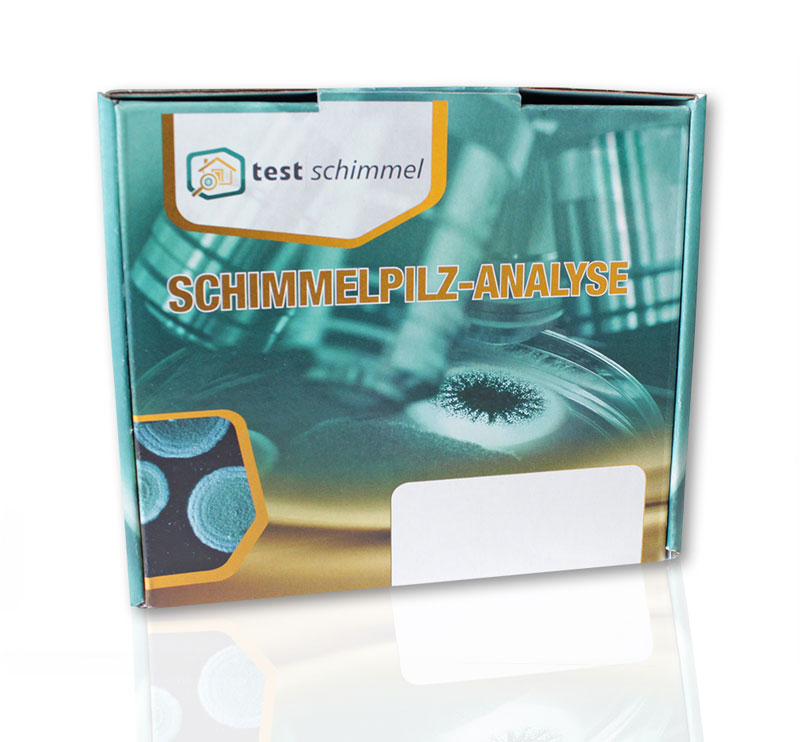Schimmeltest Abklatsch inkl. Laboranalyse