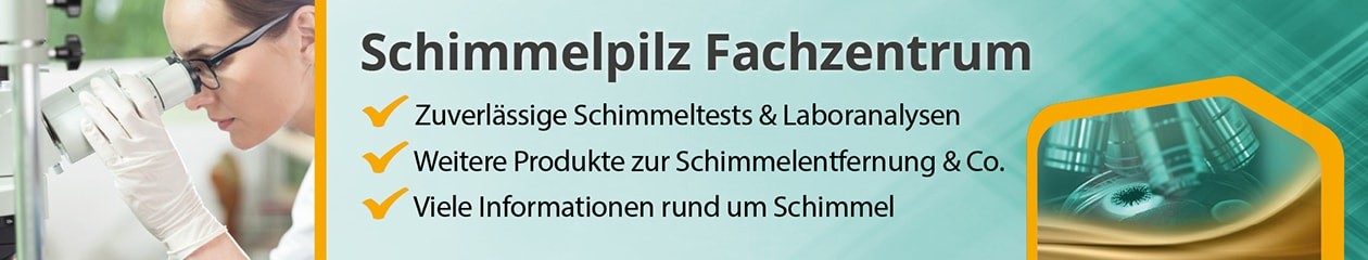 Schimmelpilz Fachzentrum Schimmelpilz Fachzentrum