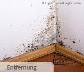 Entfernung