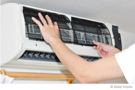 Schimmel und Temperatur Schimmel und Temperatur