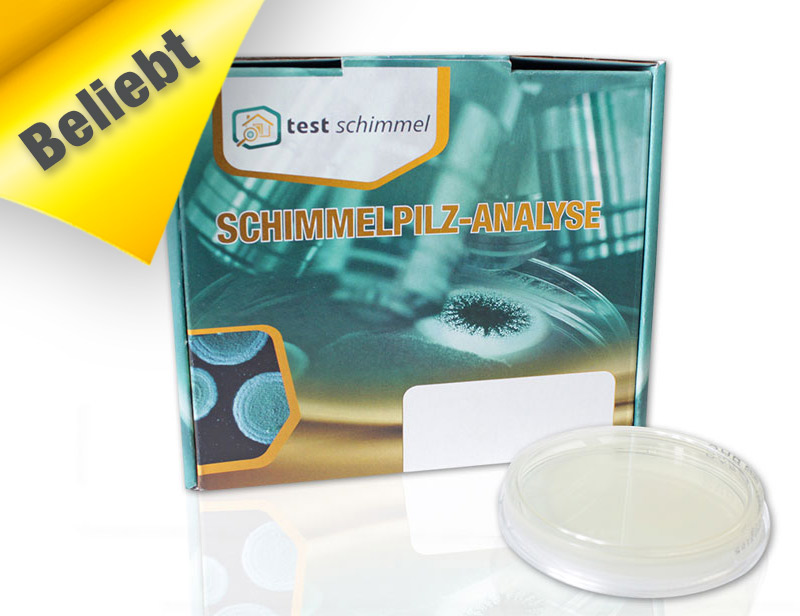Schimmeltest Raumluft inkl. Laboranalyse Schimmeltest Raumluft inkl. Laboranalyse
