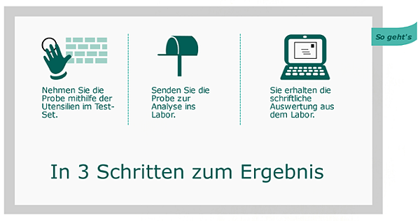 Schimmelpilz in 3 Schritten zum Ergebnis Schimmelpilz in 3 Schritten zum Ergebnis
