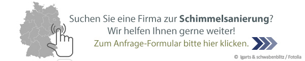 Schimmelsanierer Anfrage