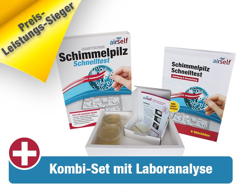Schimmeltest-Kit Für Zuhause – 6 Räume, Petrischalen, Wattestäbchen, Identifikationsleitfaden